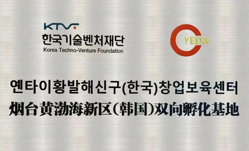 烟台黄渤海新区 打造韩资集聚新高地，引领数字内容制作服务崛起